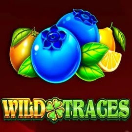 Enjoy Wild Traces by Amusnet Interactive – logo hosted on betistaa.at